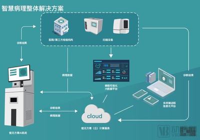 錕元方青 以病理專家視角引領創新，做智慧病理產業實踐的排頭兵